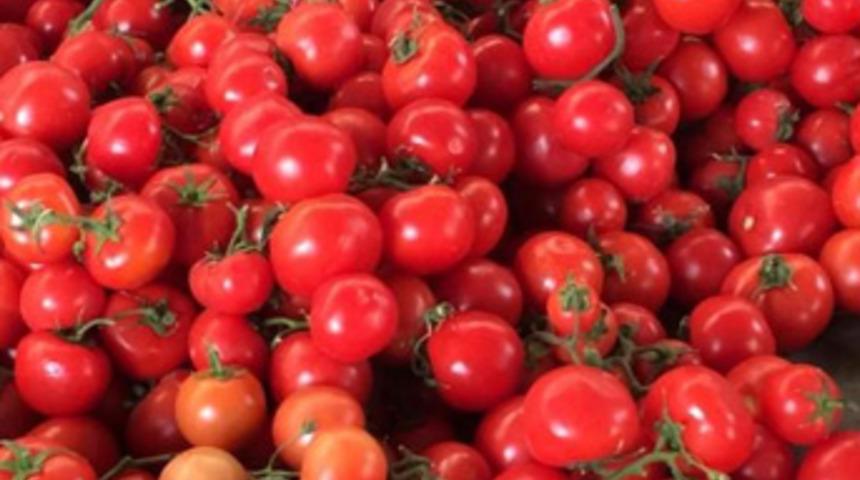 Fiyatı 10 liradan 30 kuruşa kadar düştü