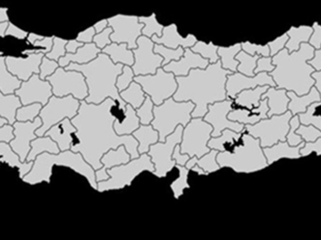 Forbes, "İş Yapmak ve Yaşamak İ&ccedil;in En İyi Kentler"  raporunun sonu&ccedil;larını yayımladı