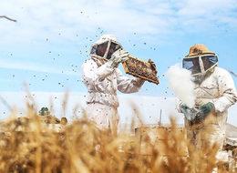 Türkiye bal üretiminde dünyada ikinci