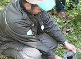 Sülük toplamanın cezası ağır oldu!