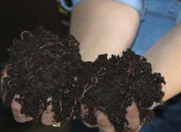 Küçük bir kutuda başladı, 4 yılda fabrikatör oldu