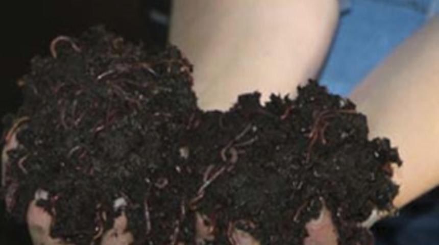 Küçük bir kutuda başladı, 4 yılda fabrikatör oldu