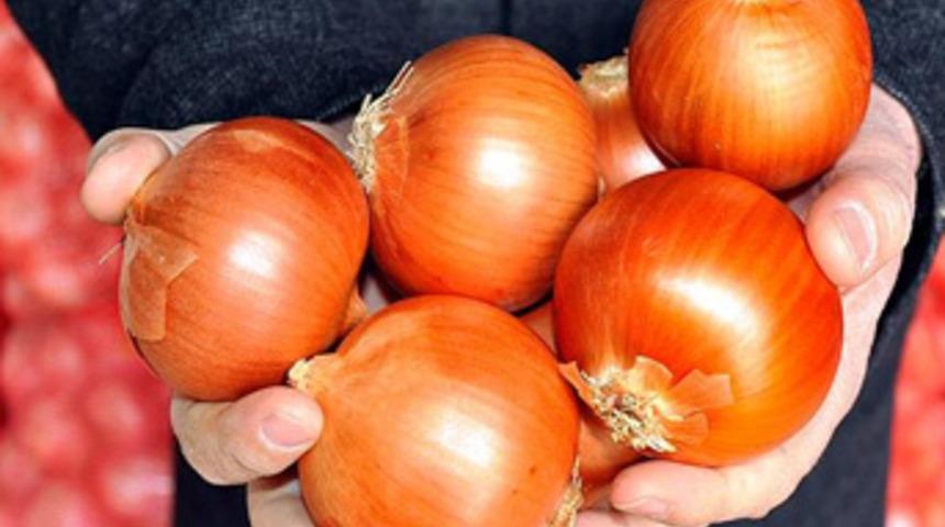 Kuru soğan ihracatından 8,6 milyon dolar gelir
