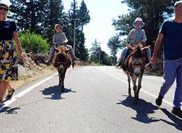 Avusturalya'dan geldi, eşşeklerle turistleri gezdiriyor