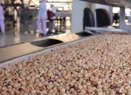 Türkiye'nin ilk fındık borsası alımlar için gün sayıyor