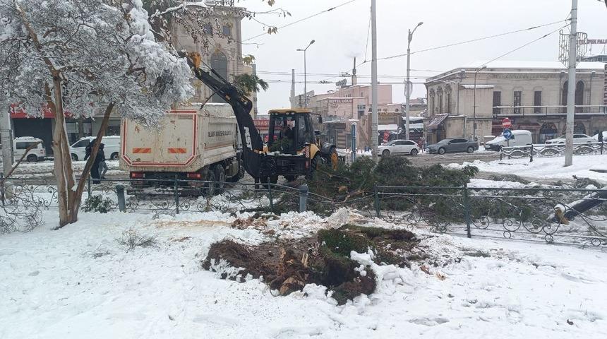 Karın ağırlığına dayanamayan ağa&ccedil;lar devrildi