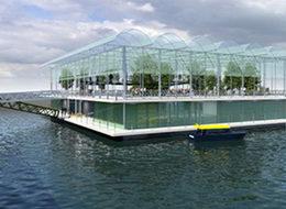 Dünyanın ilk 'yüzen çiftliği' Hollanda'da kuruluyor