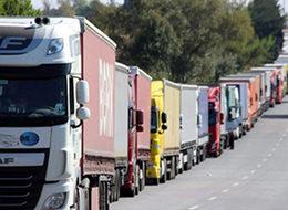 Türkiye, Rusya'ya üzüm ve çilek sevkiyatlarına başladı