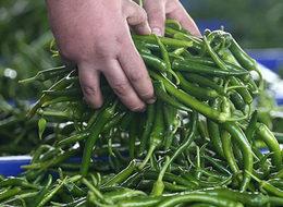 Rusya'ya yaş meyve sebze ihracatında lider: Trabzon