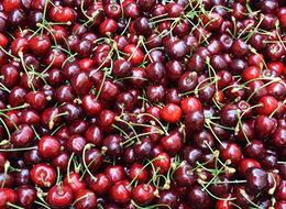 Bu kirazı bütün dünya yiyor