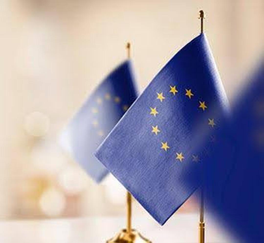 Uluslararası Aile Hareketliliği İçin Bir Araç Olarak Avrupa Pasaportu 1