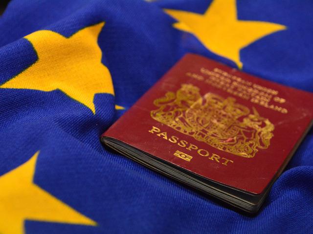 Uluslararası aile hareketliliği i&ccedil;in bir ara&ccedil; olarak Avrupa pasaportu