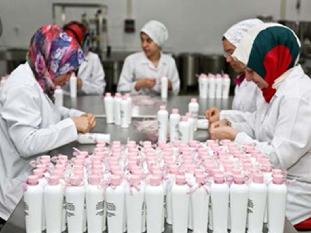 &Uuml;retime mutfakta başladı, bug&uuml;n fabrika kurdu!