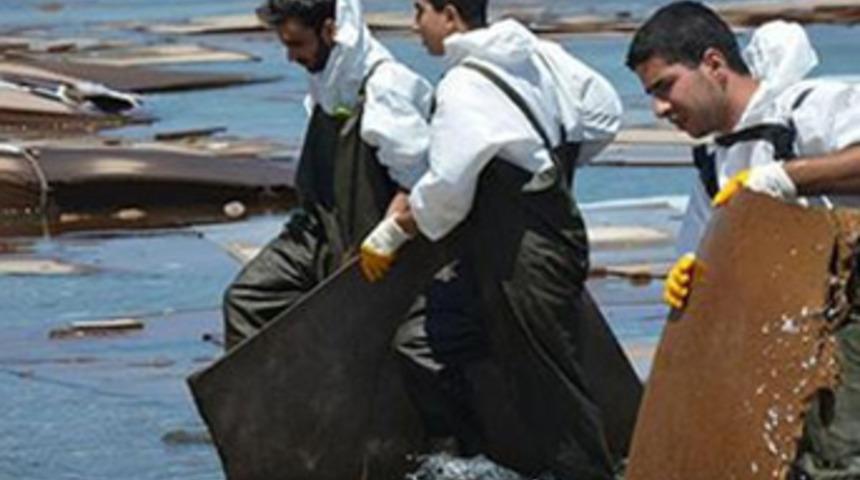 Sahile vuran suntalar pahalıya patladı