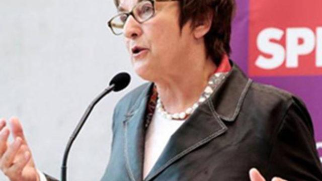 Almanya Ekonomi Bakanı'ndan Türkiye açıklaması