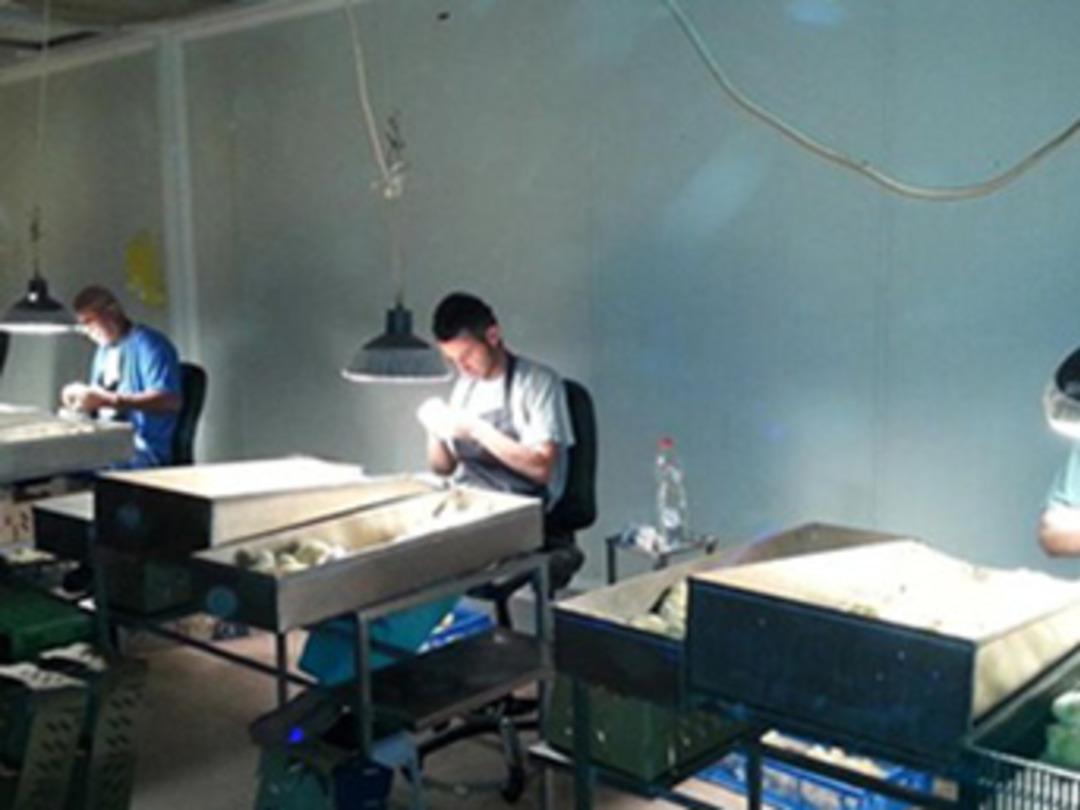 İşte d&uuml;nyadaki en tuhaf meslekler!