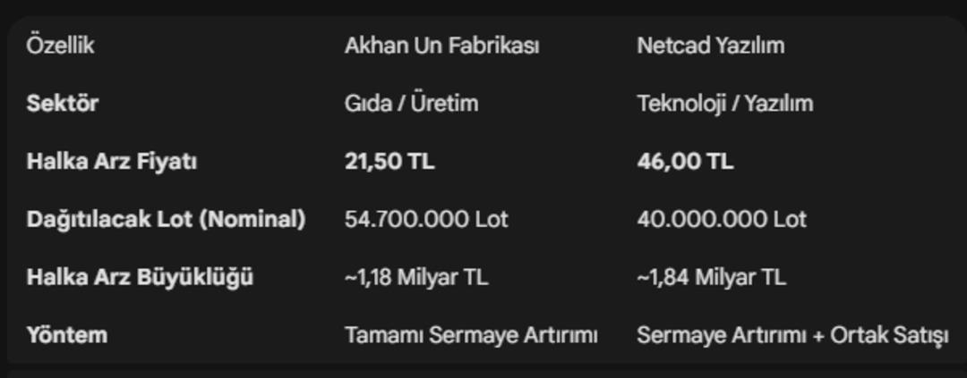 SPK dan iki dev şirkete halka arz onayı: Akhan Un ve Netcad Yazılım borsaya geliyor 4