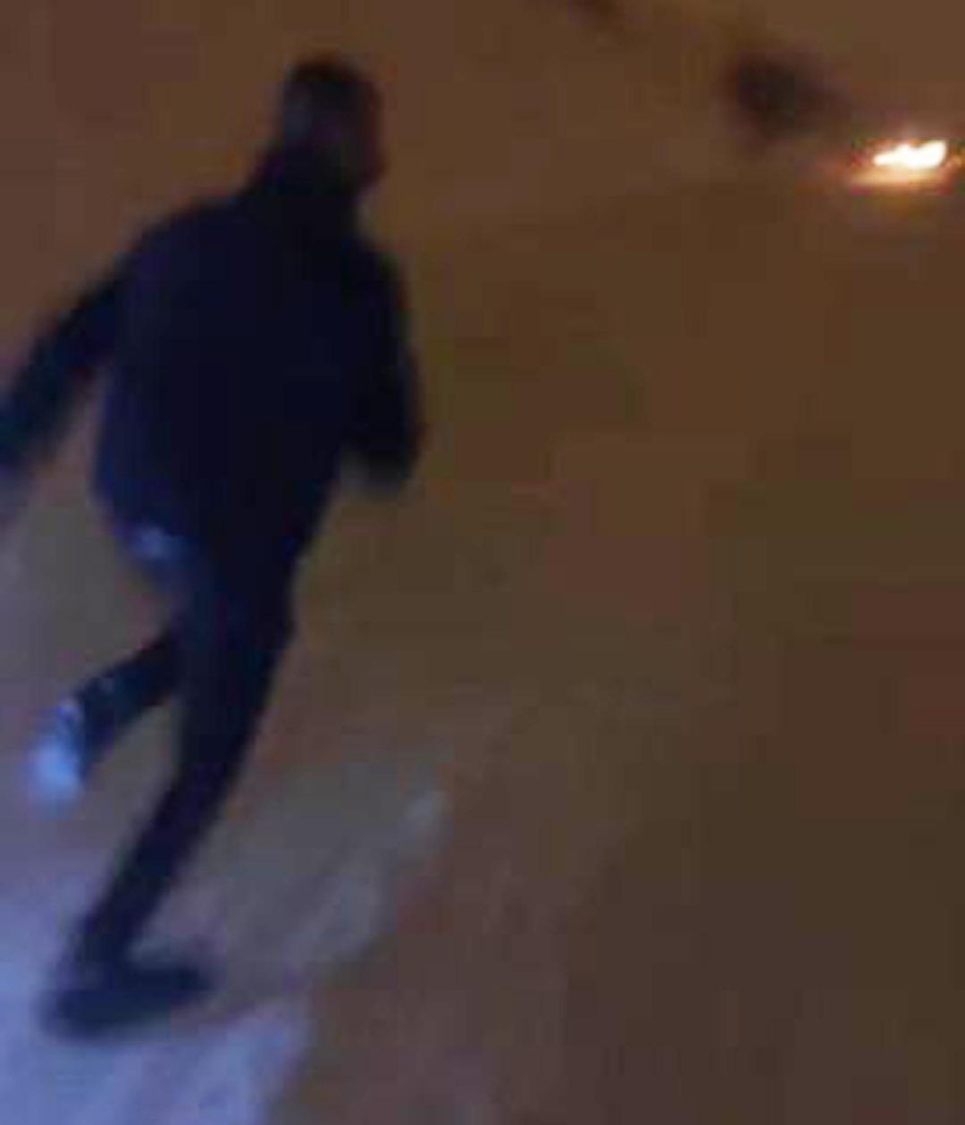 Muş ta g&ouml;r&uuml;nt&uuml;lemek istedikleri kurdun saldırısından b&ouml;yle kurtuldular! 2