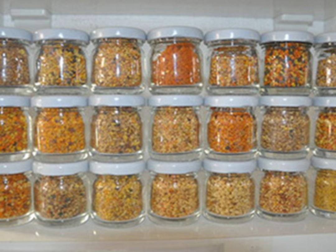 Afyonkarahisar polenine Avrupa ilgisi