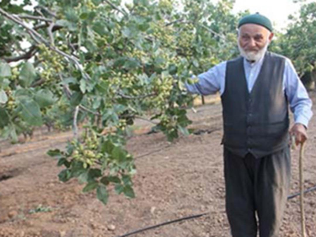 Babasının bir s&ouml;z&uuml;n&uuml; dinledi, her yıl bir kilo altın alıyor