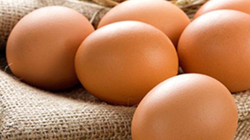 Zehirli yumurta skandalında yeni gelişme