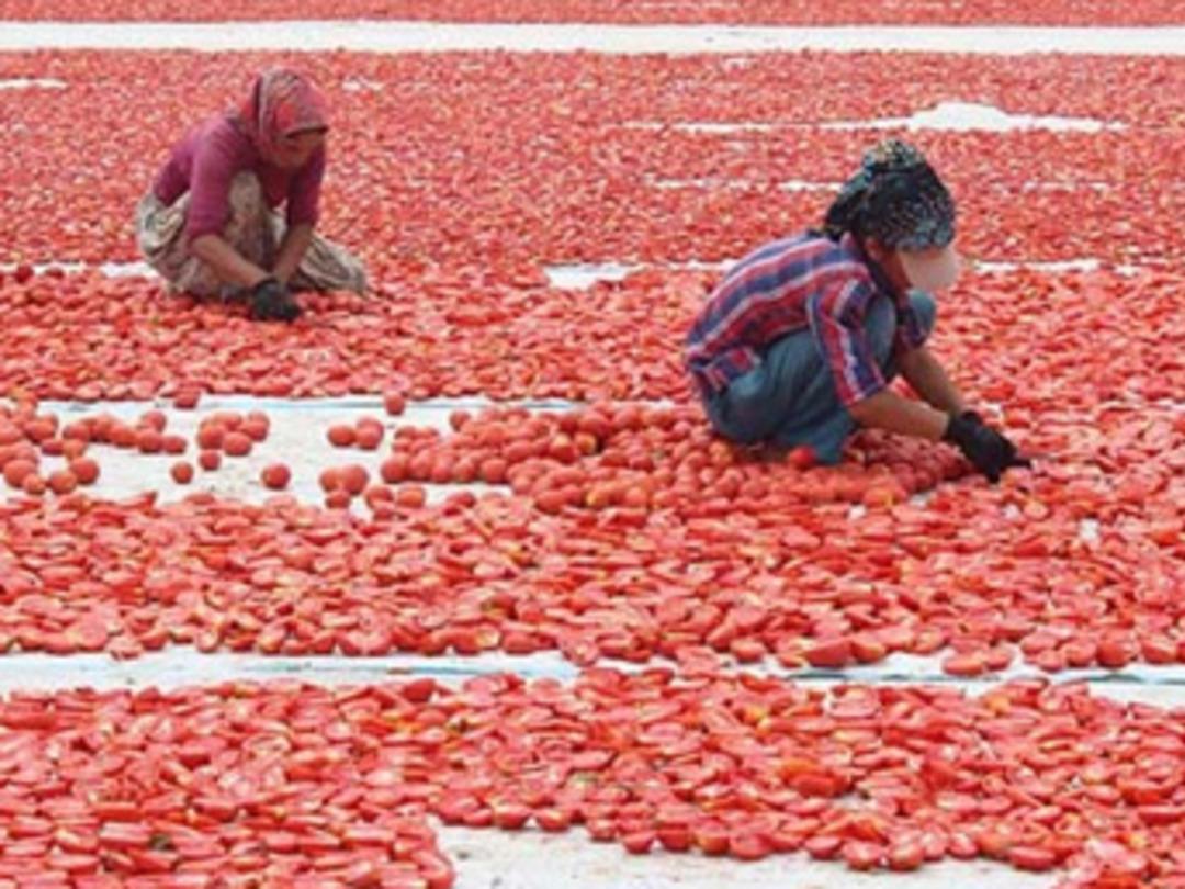 İzmir'den d&uuml;nyanın d&ouml;rt bir yanına ihra&ccedil; ediliyor
