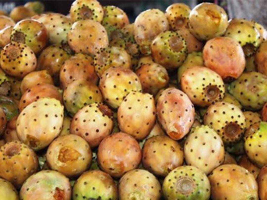 Kaynana dilinin hasadı zorlu, satışı kazan&ccedil;lı