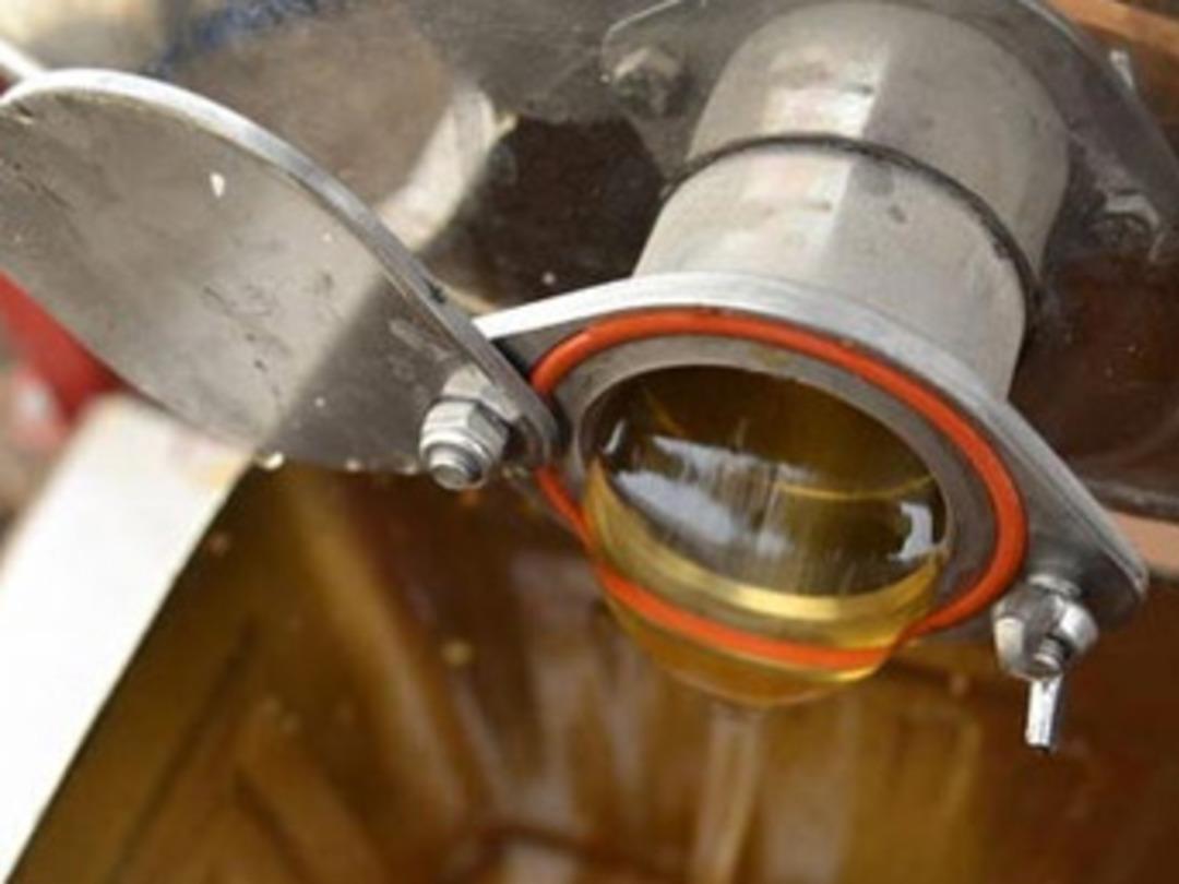 Arıcılar en 'bal'lı yıllı yaşıyor