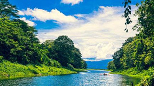 Ülke ülke rüzgar enerjisi üretimi