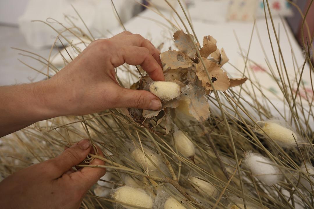 Tescilli Hatay Sarısı&rsquo;nı yok olmaktan kurtardı: "Yaşayan İnsan Hazinesi" se&ccedil;ildi 7