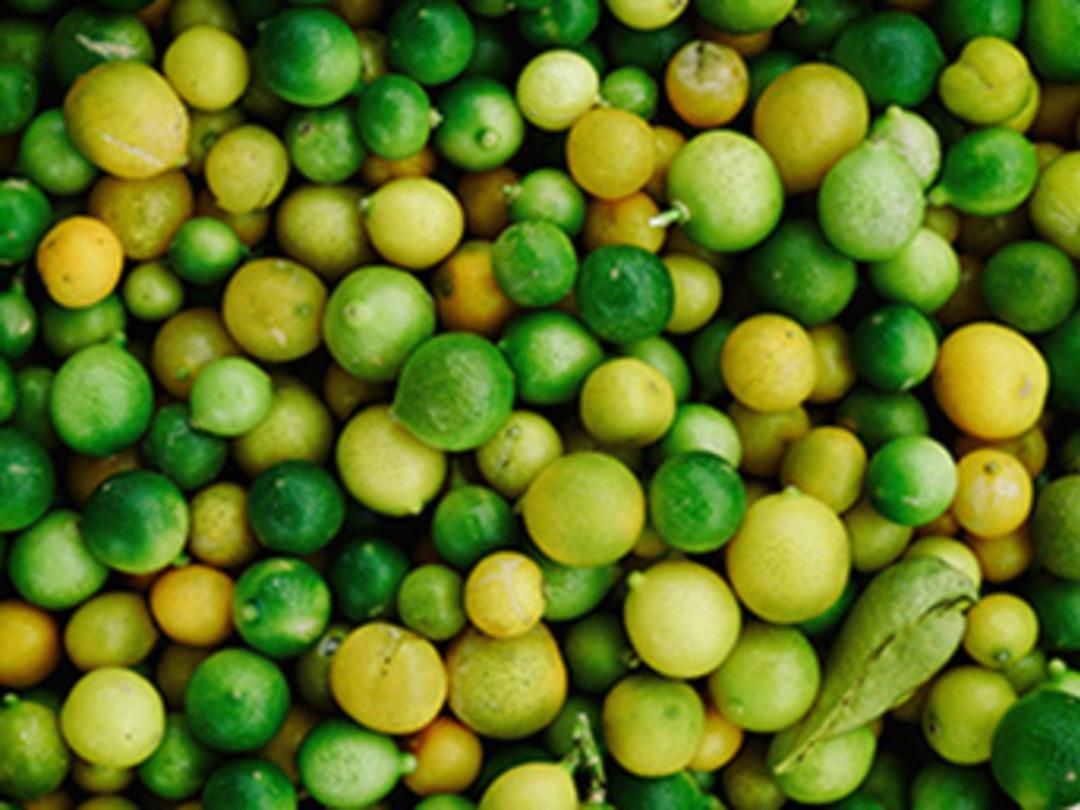 Limonun kilosu bah&ccedil;ede 1 TL, pazarda ise 6 TL'ye satılıyor