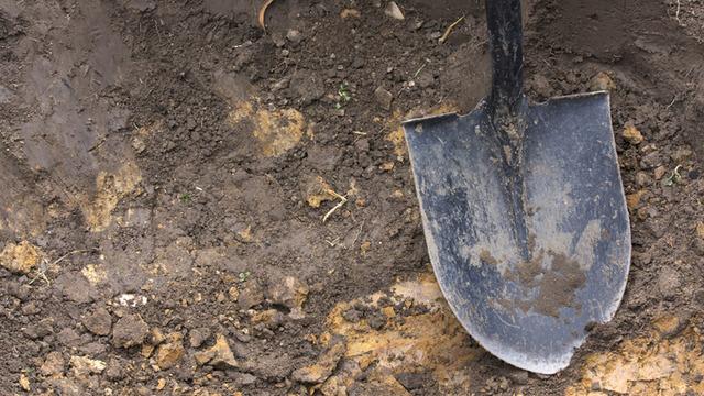 Aldıkları ev kabusları oldu! Zemini kazınca ortaya çıktılar...