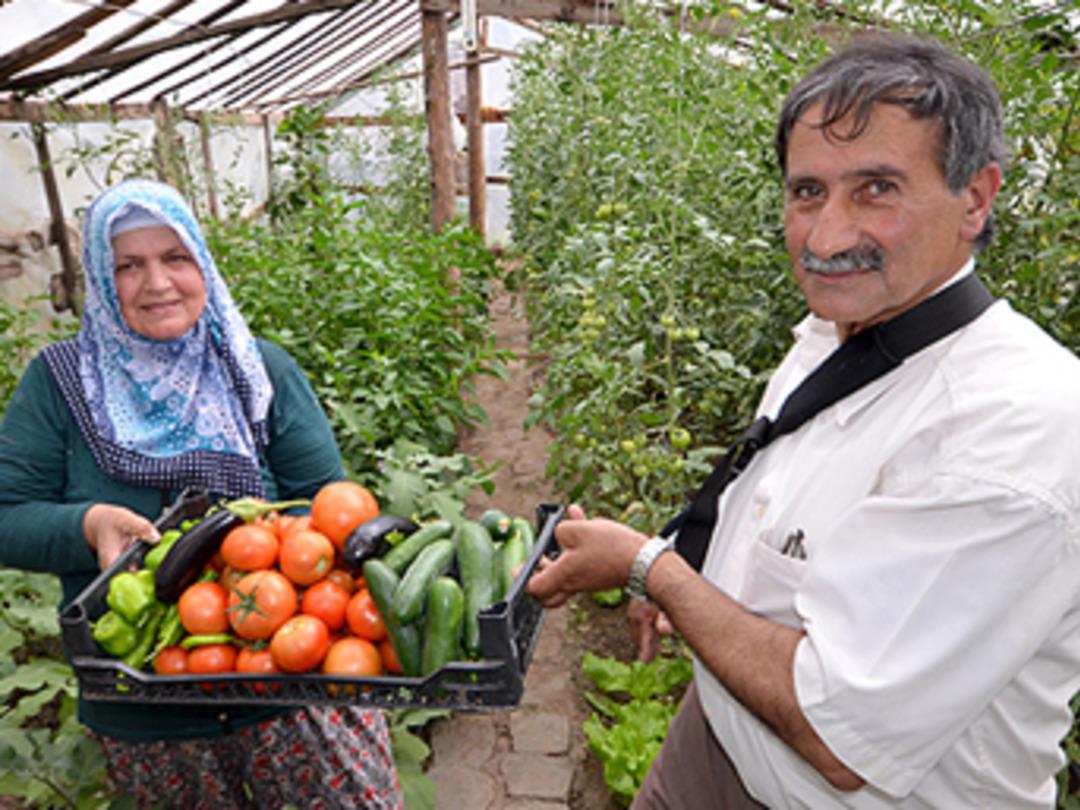 Soğuk topraklarda 'yapılmaz' denileni yaptılar