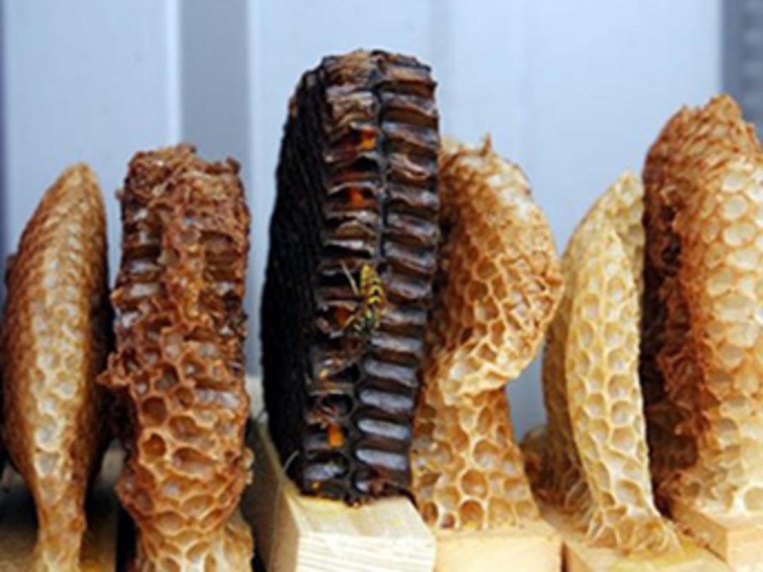 Adıyaman Gevender Balı markalaşıyor