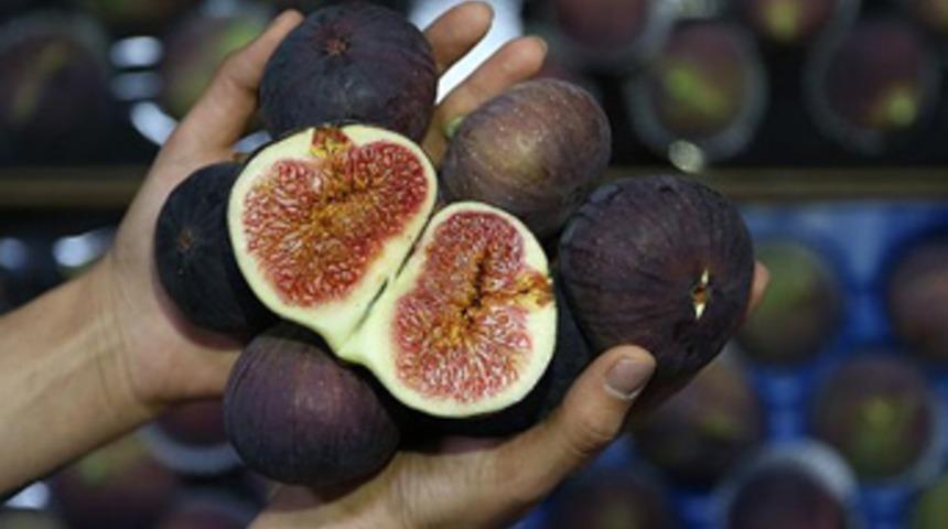 Bursa'da yetişti 49 ülkede tüketildi