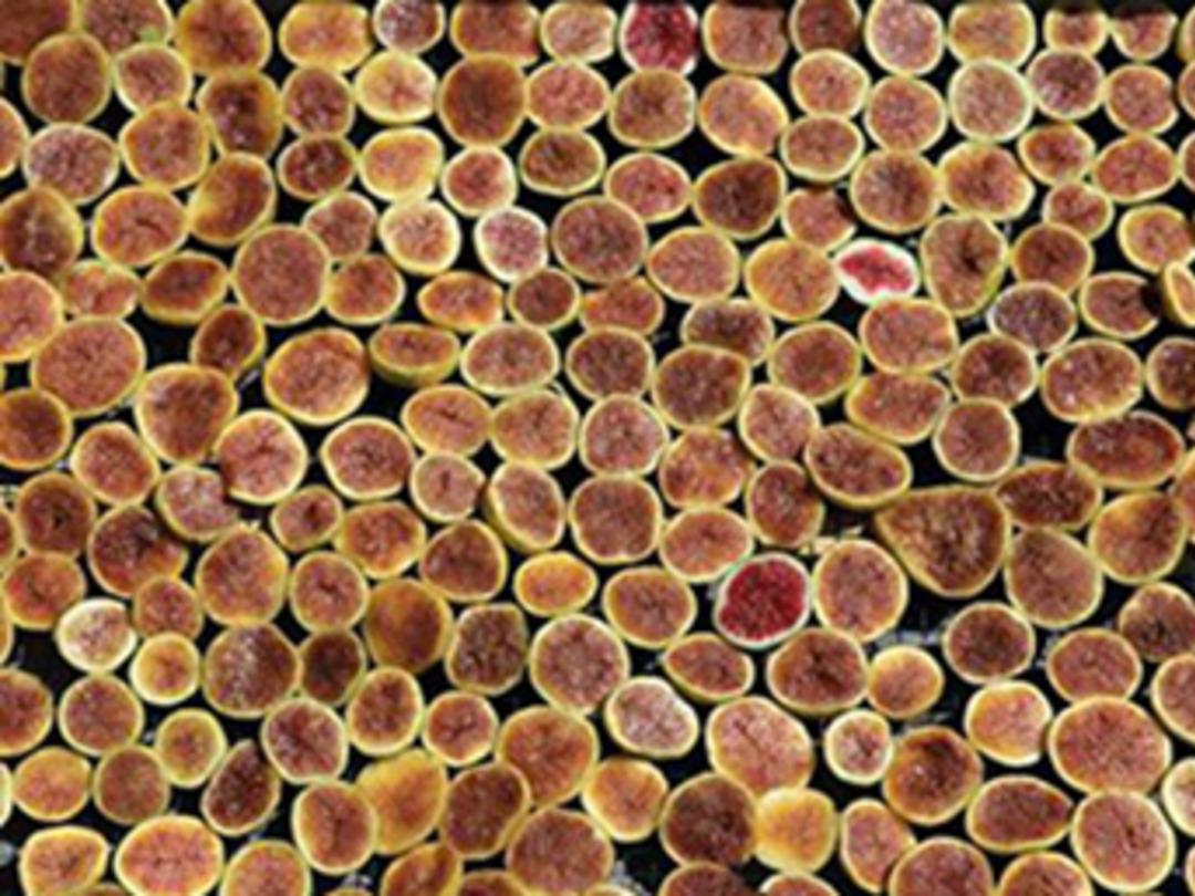 Anne-kız "incir cipsi" ile girişimci oldu