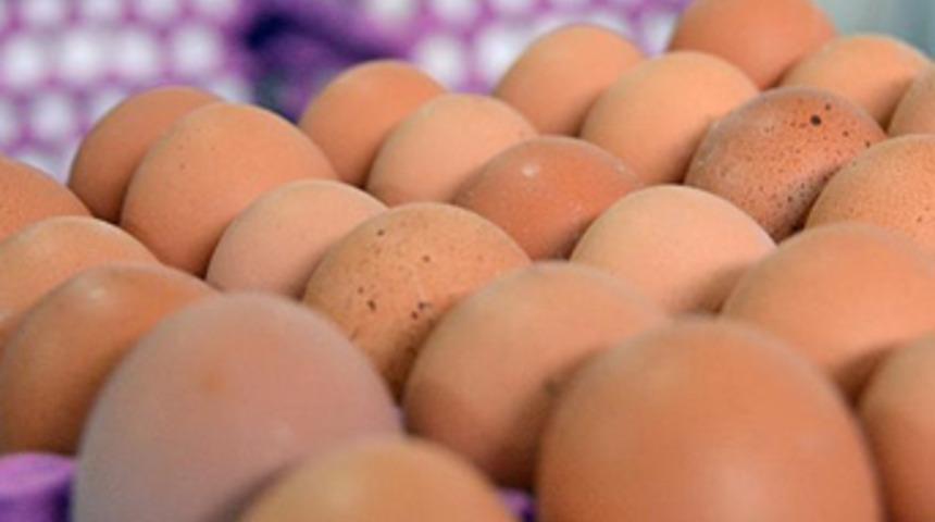 'Fipronil iddiaları ihracatımızı olumsuz etkilemeyecek'
