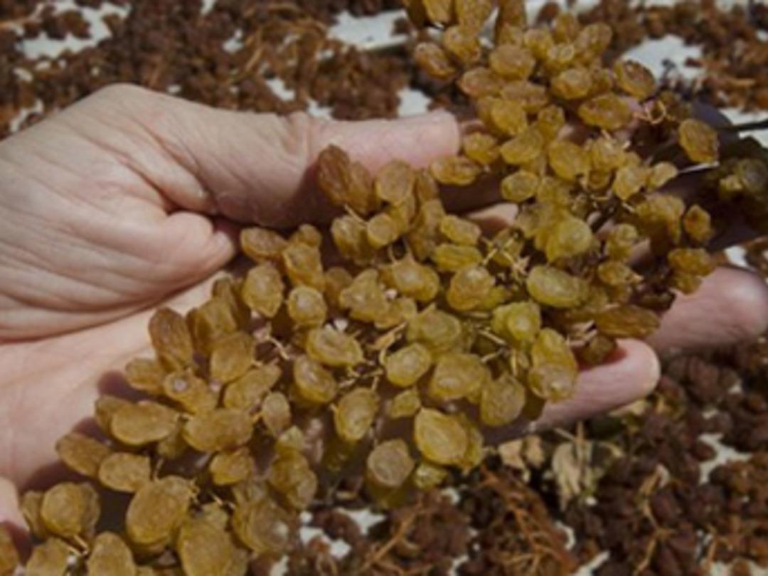 T&uuml;rkiye'den 90 farklı &uuml;lkeye g&ouml;nderiliyor