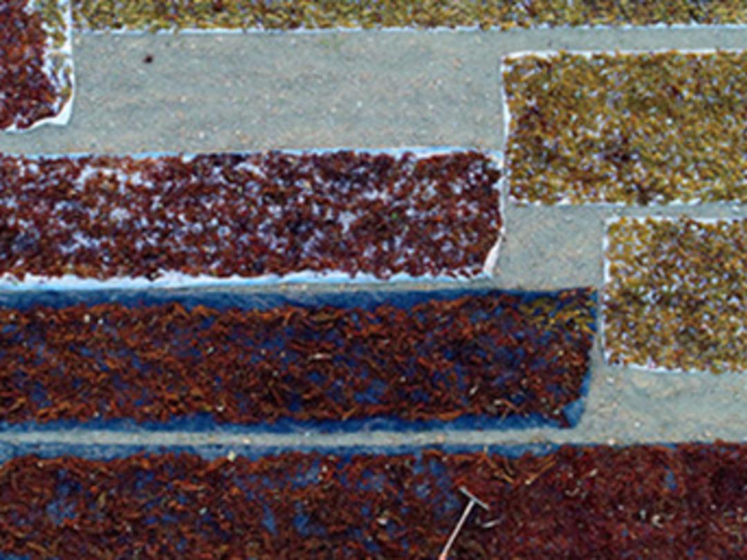 &Uuml;z&uuml;mleri kurutan &ccedil;ift&ccedil;iler n&ouml;betleşerek &ccedil;alışıyor