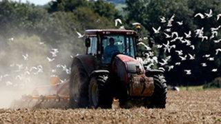 Türk Traktör devi Erkunt Traktör Hintli firmaya satıldı