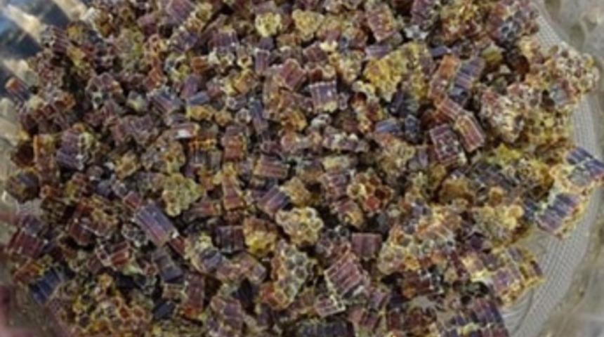 Hisarcık'ta ilk defa 'arı ekmeği' üretildi