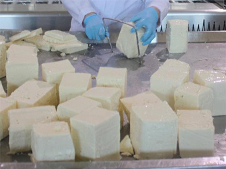 'Ezine peyniri Yunanistan'ın Feta'sına rakip olacak'