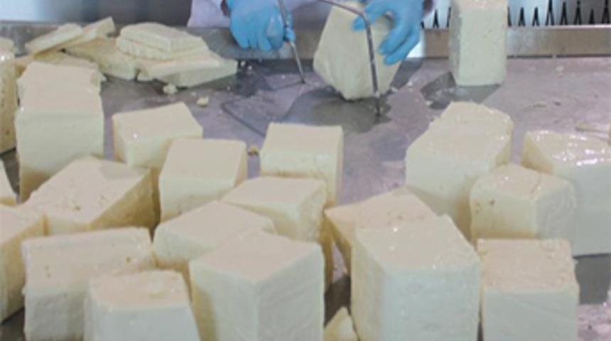 'Ezine peyniri Yunanistan'ın Feta'sına rakip olacak'