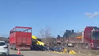 Burdur'da limon y&uuml;k&uuml; tır şarampole devrildi