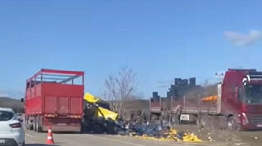 Burdur'da limon y&uuml;k&uuml; tır şarampole devrildi