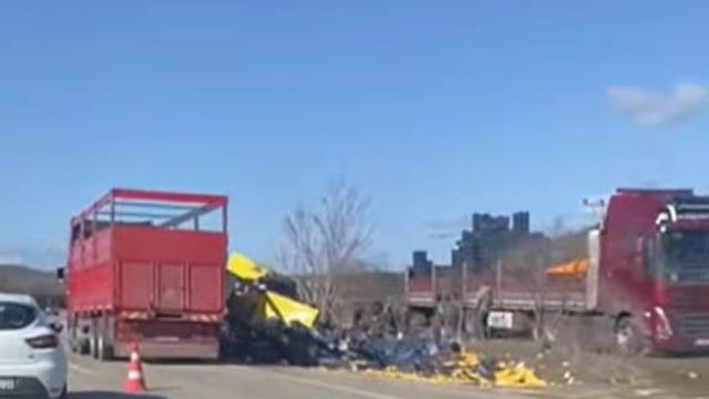 Burdur'da limon yükü tır şarampole devrildi