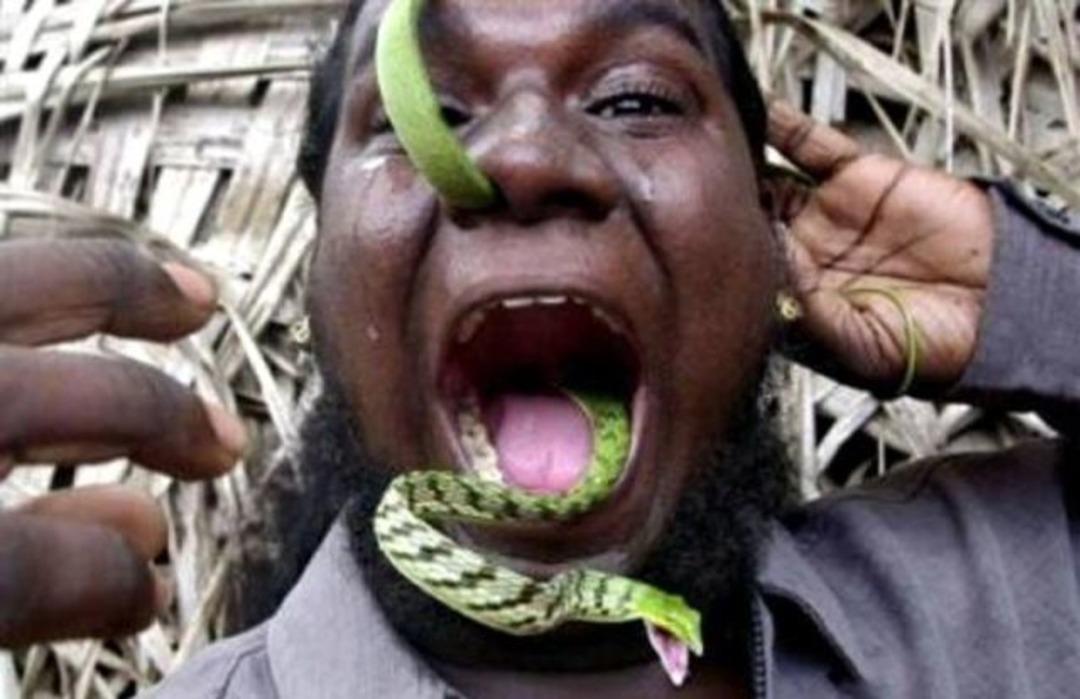 B&ouml;yle şeyler sadece Afrika'da olur! 