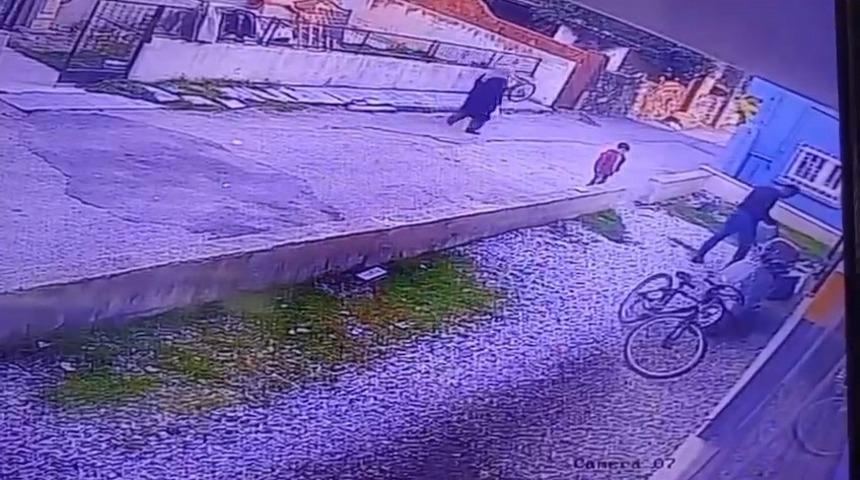 &Ccedil;ocukların g&ouml;z&uuml; &ouml;n&uuml;nde k&ouml;peği katletti