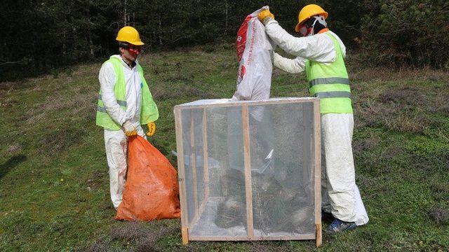 Yığılca’da orman zararlıları ile mücadele yapıldı