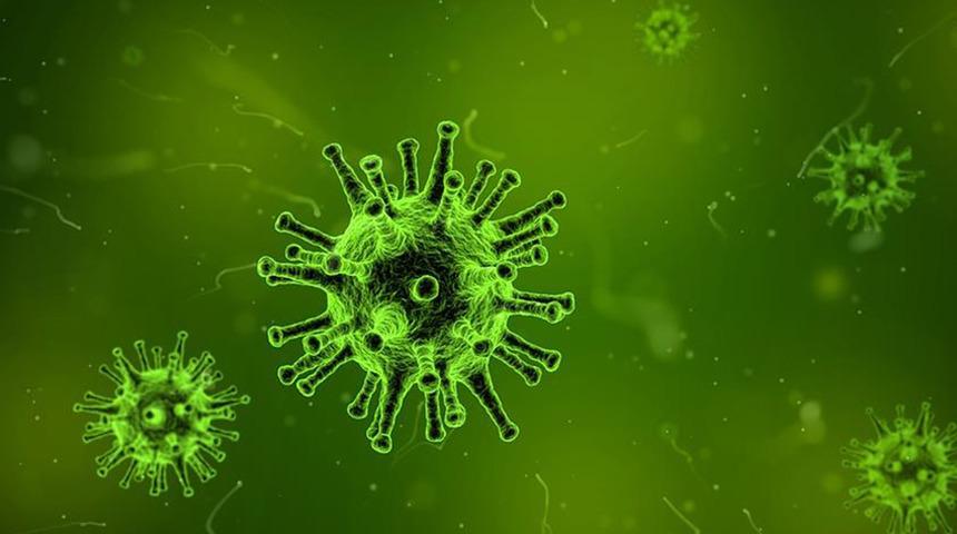 &Ouml;l&uuml;mc&uuml;l vir&uuml;s alarmı! Nipah vakalarında artış: Karantinadalar